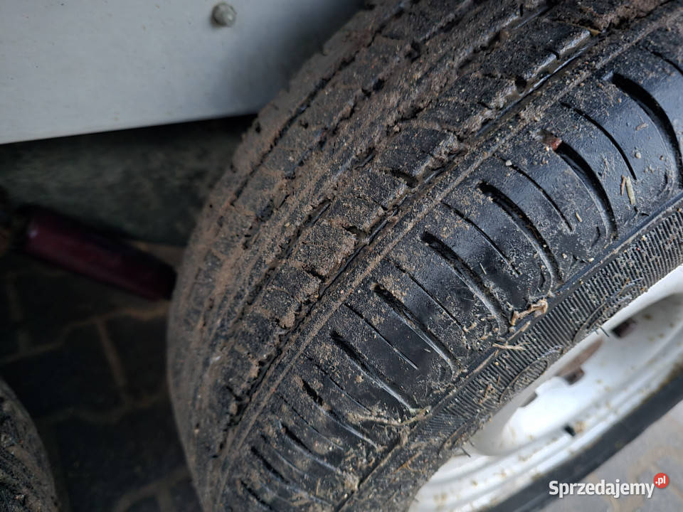 Przyczepa do przewozu koni zwierząt BLOMERT T2 Rok produkcji 2003 Tymianki-Skóry