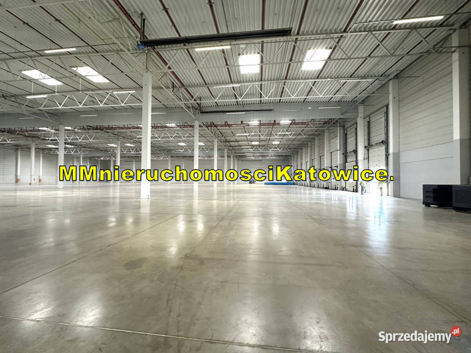 Magazyny do wynajęcia Ruda Śląska A4 do 13150 m2