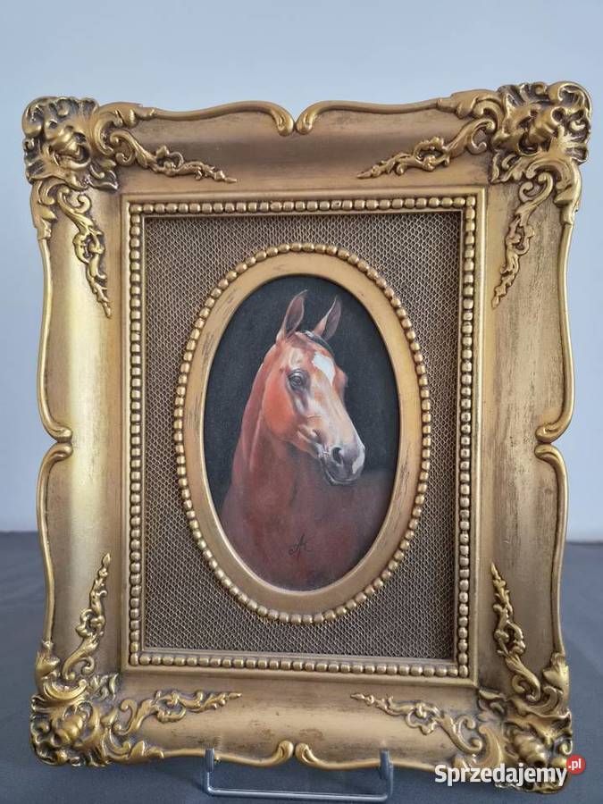 Piękny portret zadumanego konia Piaseczno