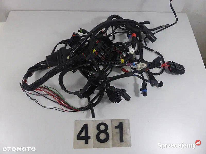 Wiązka elektryczna Harley Davidson Sportster Pozostałe Poznań