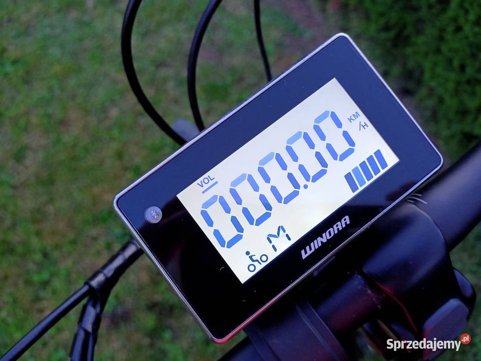 Rower Elektryczny Winora Lubomia