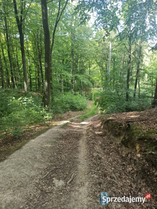 Mieszkanie Rumia Kamienna 50m2 2pok