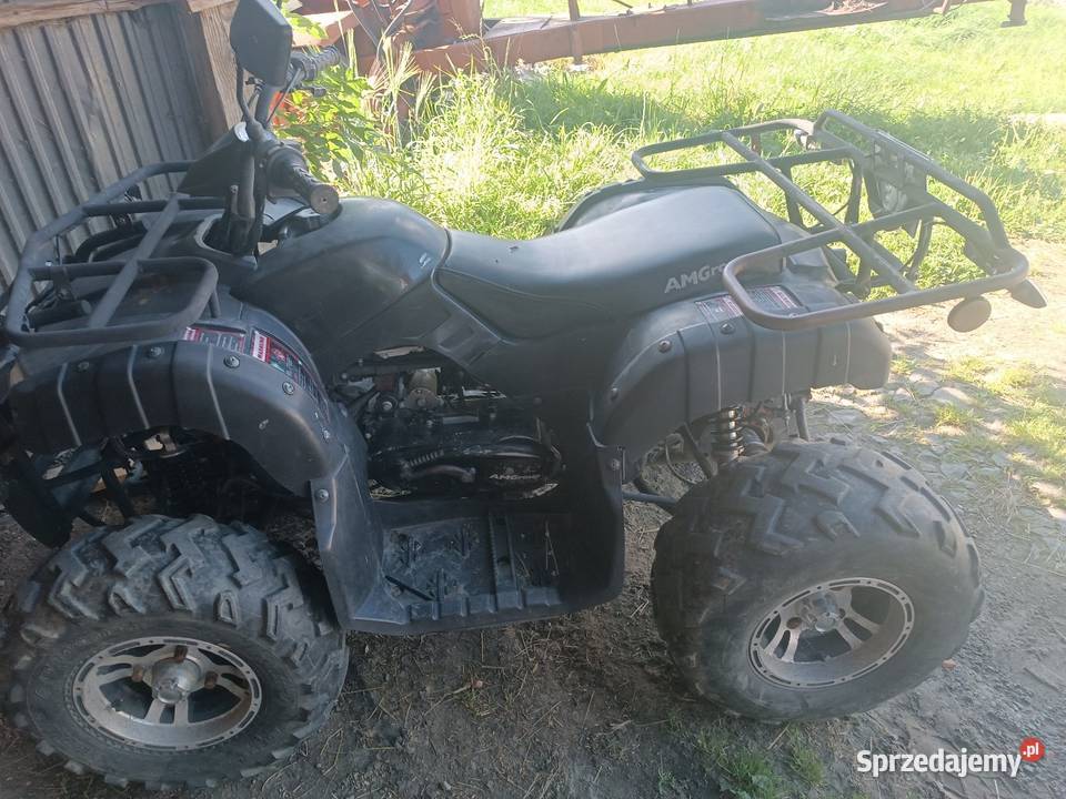 Qlad Bashan 200 2x4 Juszczyn sprzedam