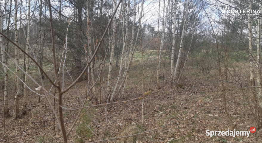 sprzedaży gruntu 1302 metry Nowy Bukowiec 55m