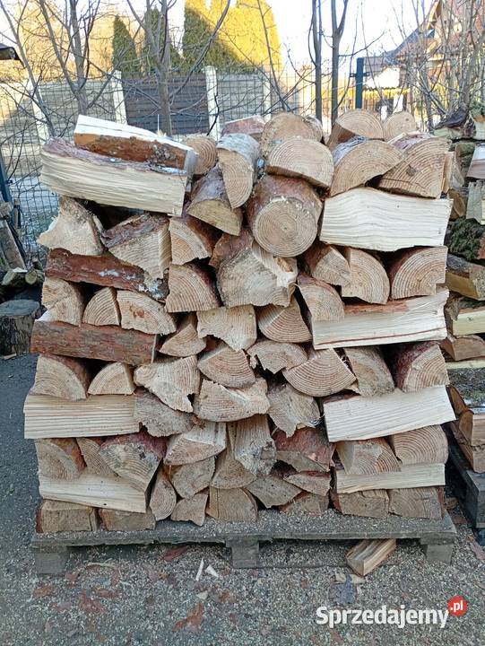 Sosna opałowa sprzedam
