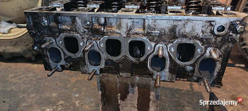 Głowica 19 TDI AVB świętokrzyskie