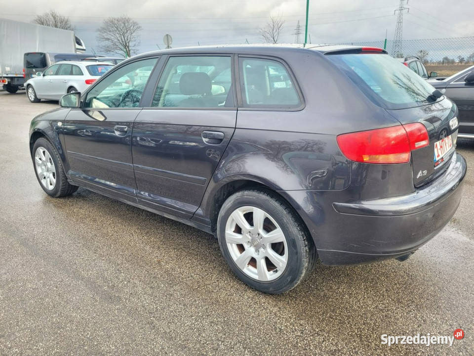 Audi A3 19TDI 105 Zarejestrowana w 8P 20032012 kujawsko-pomorskie