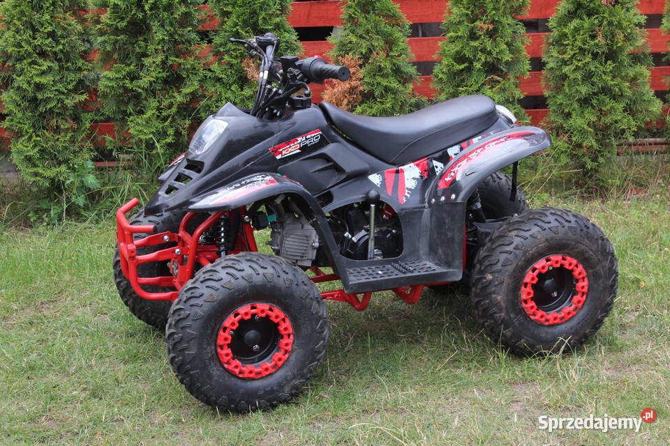 Quad KXD 110 automat 11 odpalany na rozrusznik Goleniów