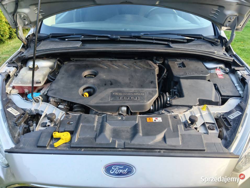 Ford Focus Mk3 nieuszkodzony Focus Ślesin