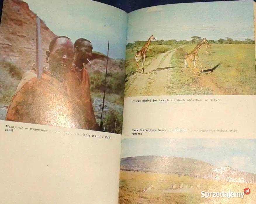 GriGri Mity a afrykańska rzeczywistość Bogdan Rok wydania 1980 Chełm