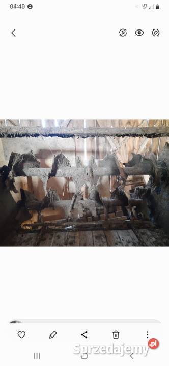 Sprzedam rozrzutnik 8t Bagienice