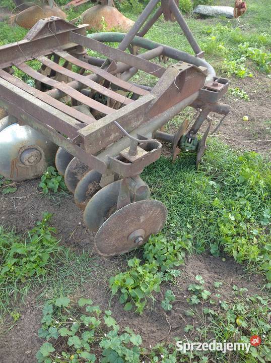 Talerzówka Przymuszewo sprzedam