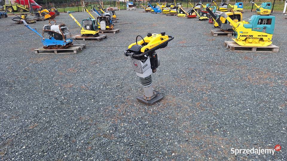 Skoczek Stopa WACKER NEUSON BS 502 plus 11in Pozostałe dolnośląskie Trzebnica