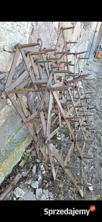 Pola 5 bron stan Żychlin