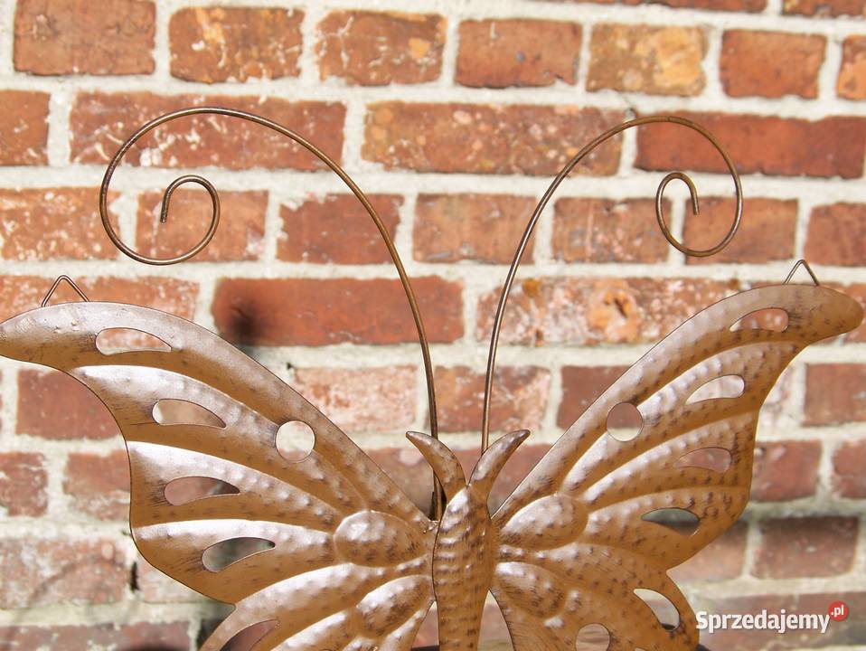 motyl metaloplastyka 40 Białogard