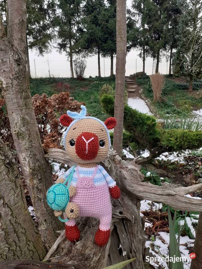 Kapibara na szydełku Nakło nad Notecią