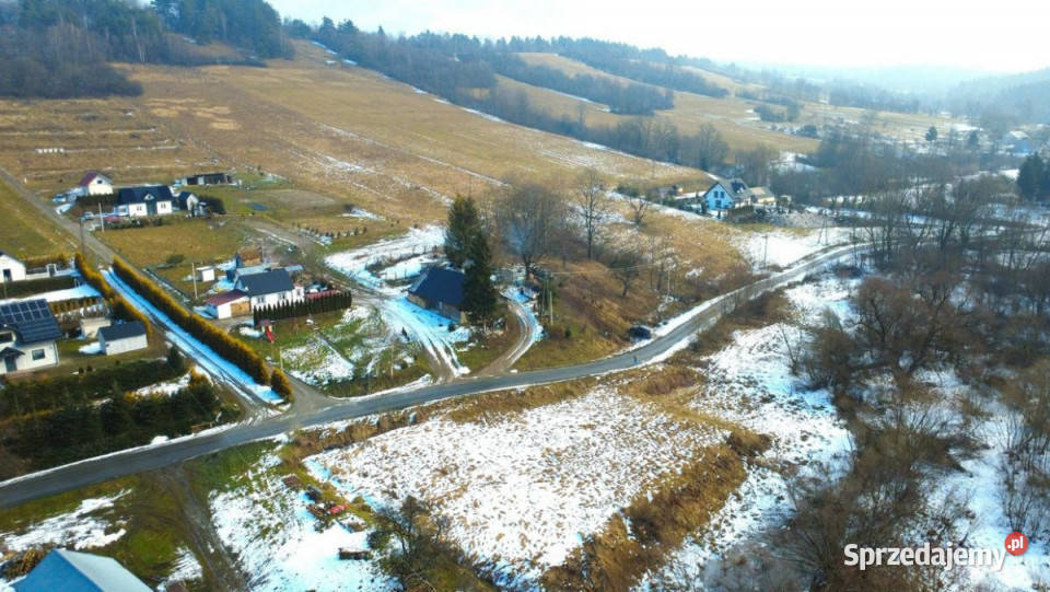 Działka na sprzedaż 2593m2 Paszowa