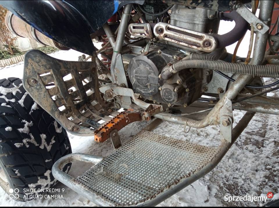 Bashan 250ccm Jabłonka