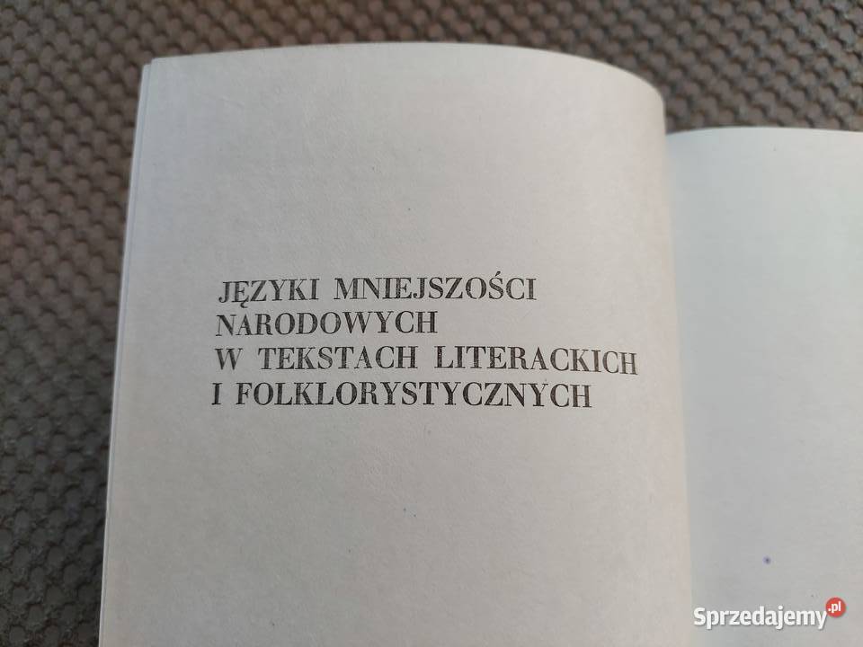 Maria Brzezina Polszczyzna Żydów Książki naukowe i popularnonaukowe Kraków