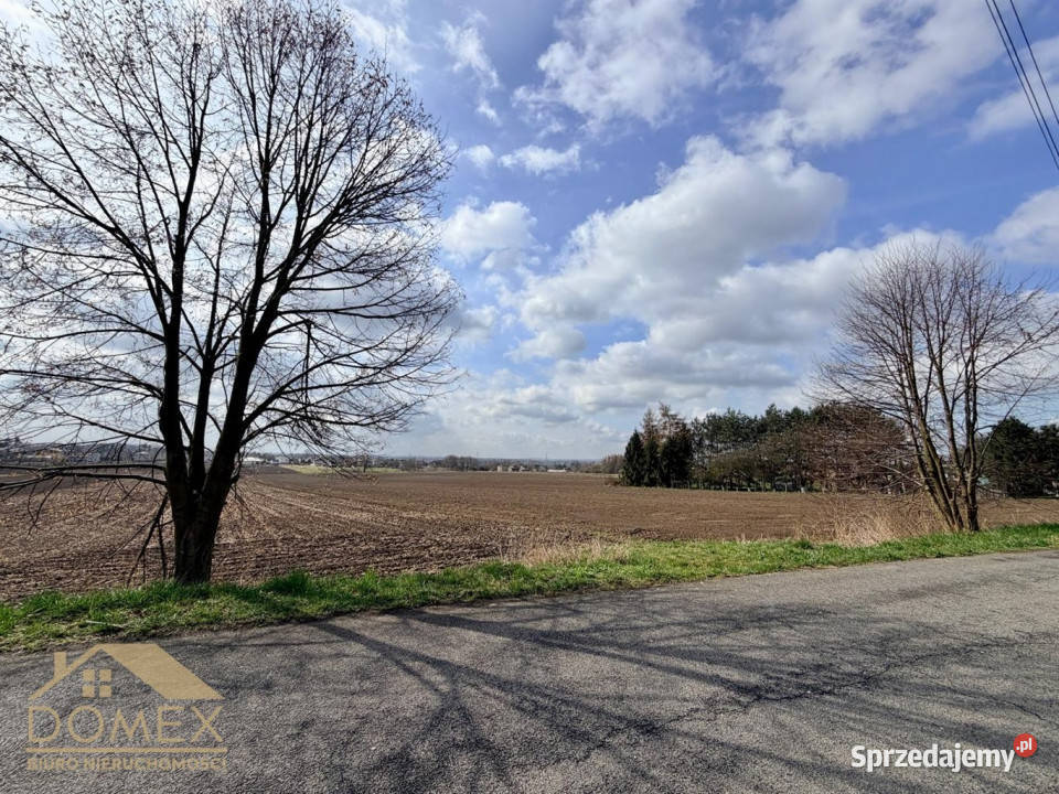 Działka 10730m2 Bełsznica sprzedam