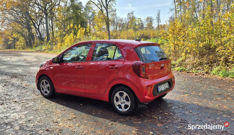 Kia Picanto 12 M światła do jazdy dziennej pomorskie