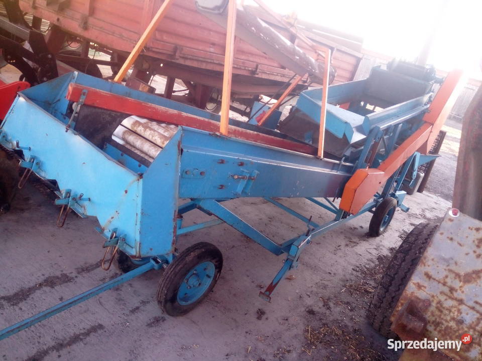 Sortownik Puck buraków cebuli ziemniaków Puck nieuszkodzony Opatówek