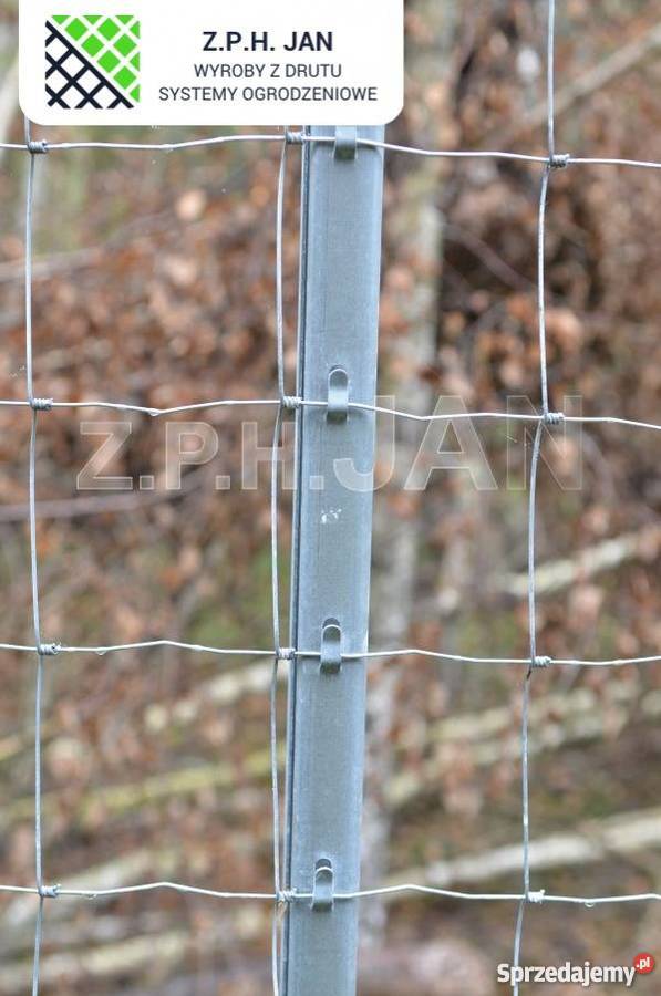 Siatka leśna 1701810 L 30mb skoble Biłgoraj