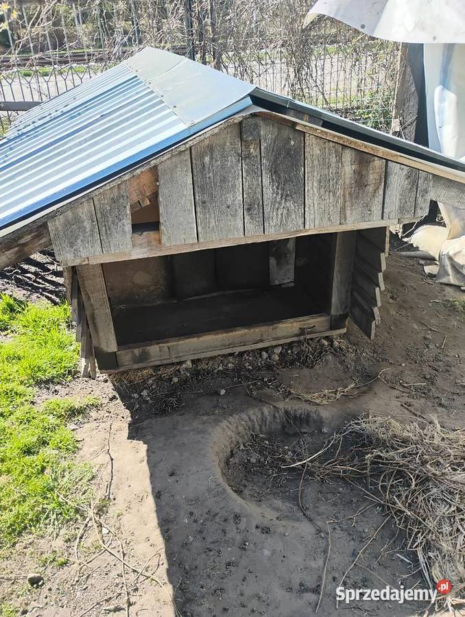 sprzedam budę dużego psa