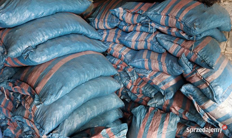 Węgiel groszek workowany z PGG Ziemowit Kalisz