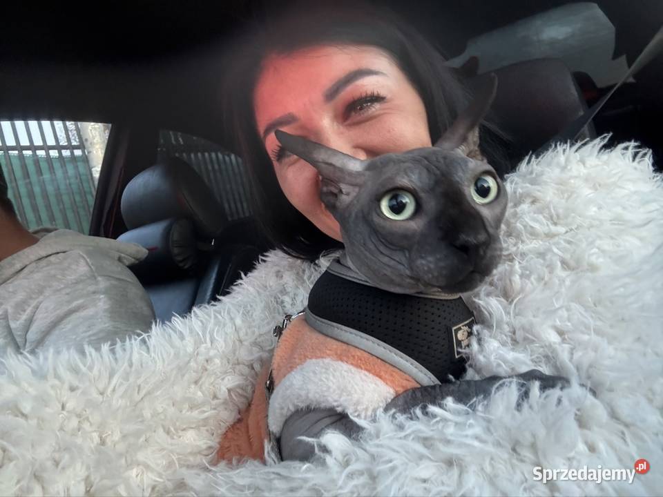 Stinks kanadyjski Grodzisk Mazowiecki