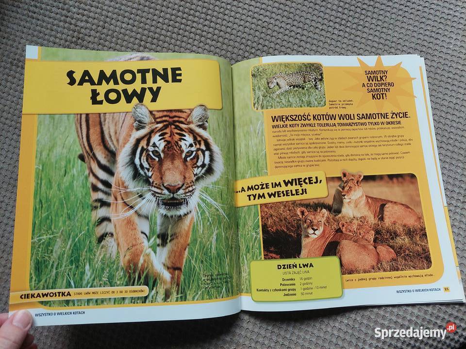 National Geographic Kids Wszystko o wielkich Rok wydania 2011