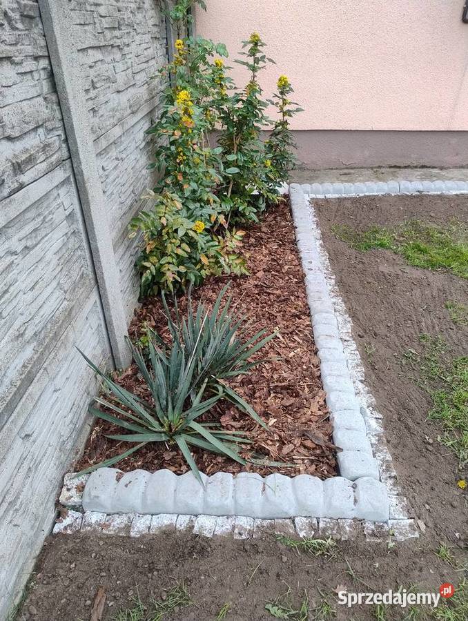 krawężnik ozdobny imitacja kostki brukowej Szadów Księży sprzedam
