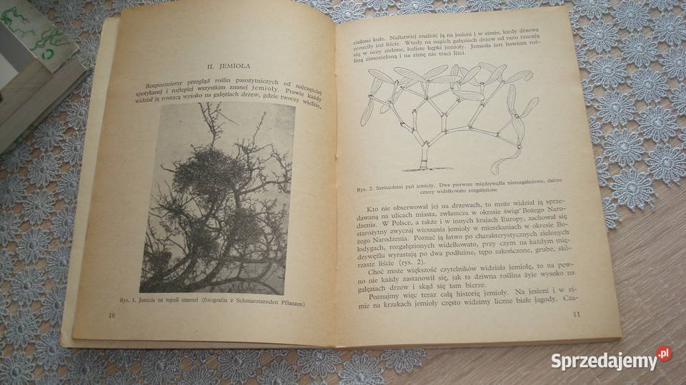 Pasożytnicze rośliny kwiatowe Gajewski js Książki naukowe i popularnonaukowe Kruszwica