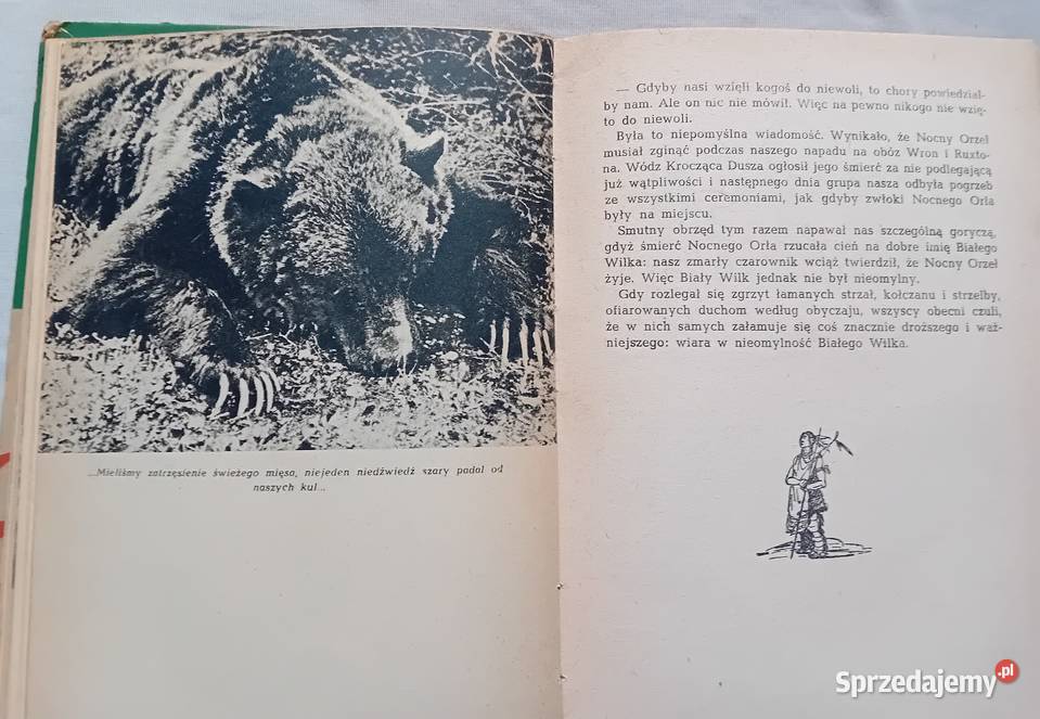 Arkady Fiedler Mały Bizon Iskry 1958r Wydanie V wielkopolskie Koźminek