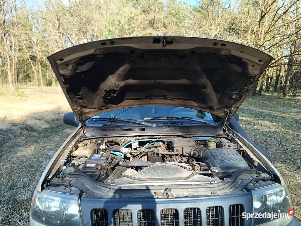 Jeep Grand Cherokee 40 4x4 QD Motoryzacja Zielona Góra sprzedam
