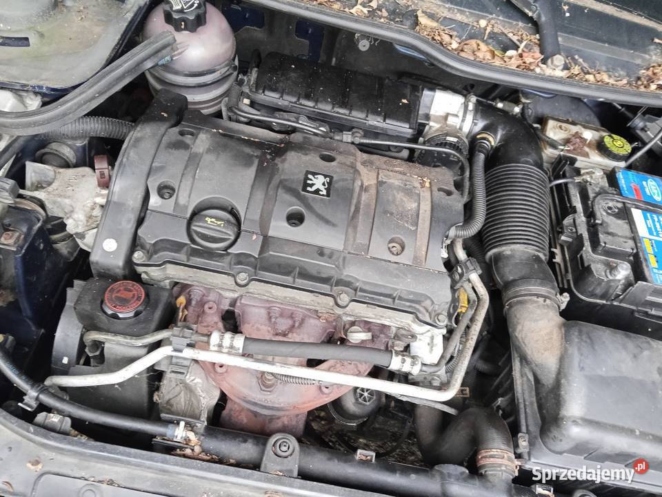 Peugot 206 na części kod lakieru EGE Ropczyce sprzedam