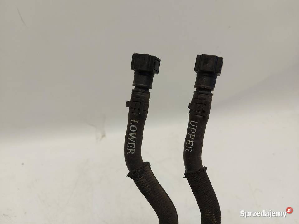 Ford Ranger VI 6 2024r RURA WĄŻ PRZEWÓD WODY Węże chłodnicy Układ chłodzenia