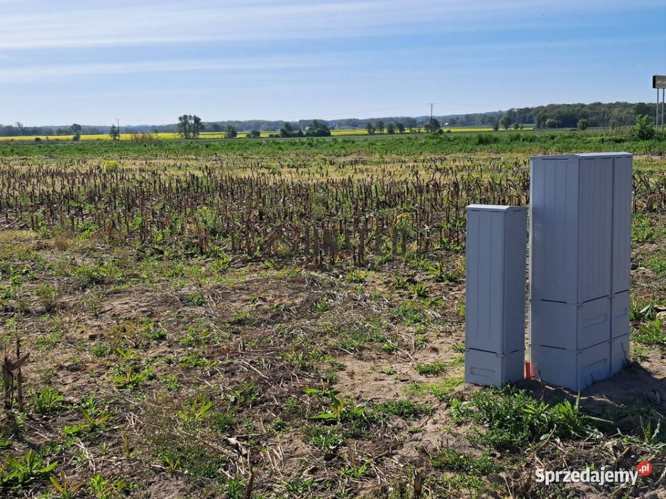 Działki w Jagoszycach niedaleko Prusic Jagoszyce