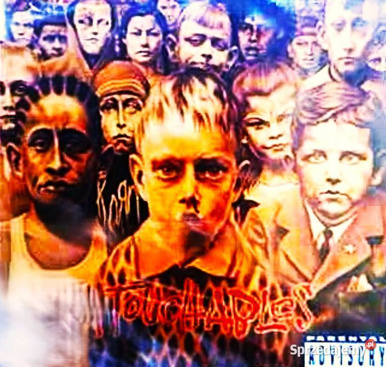 CD Nowa Album CD Kultowego Zespołu KORN Płyty i kasety łódzkie Łódź