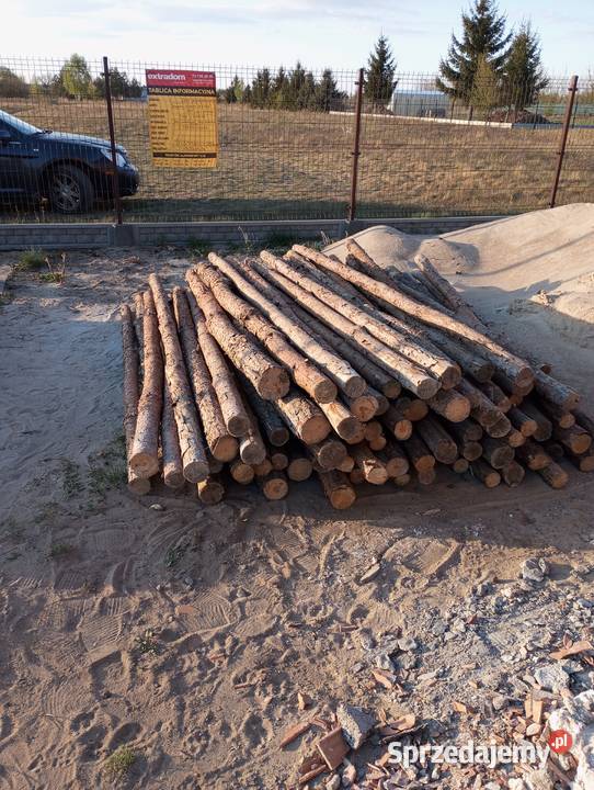 Sprzedam stemple budowlane Sompolno