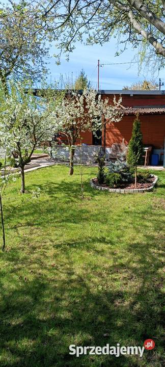 Działka rekreacyjna ROD 300m2