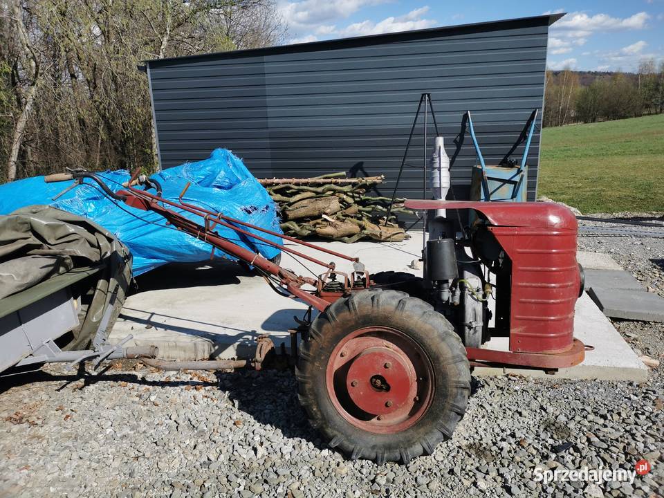 DZIK 21 Połom Duży