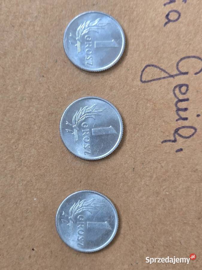 Moneta 1 grosz 3 sztuki z 1949r w doskonałym świętokrzyskie Busko-Zdrój