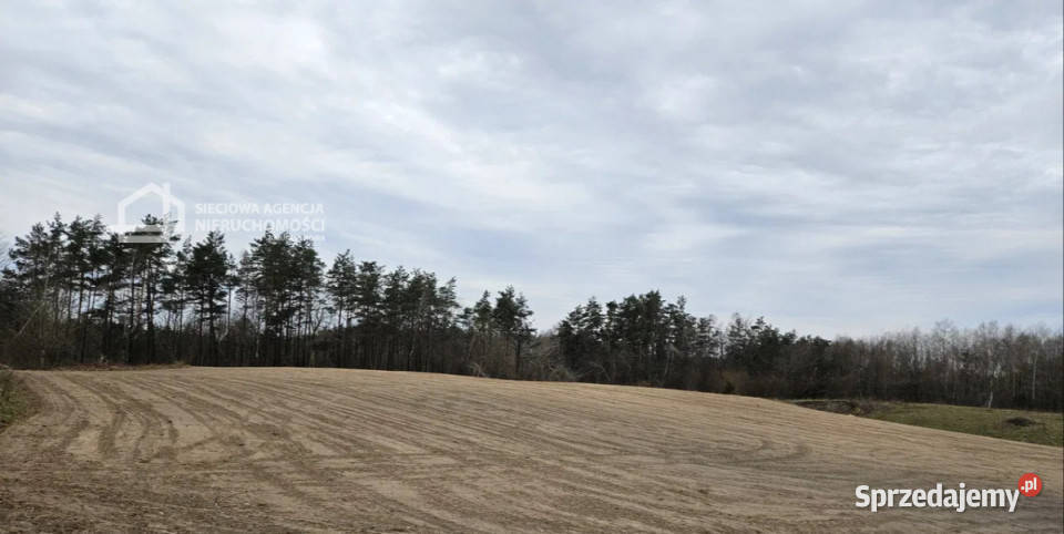 sprzedaży działki 19409m2 Michalin Sprzedaż