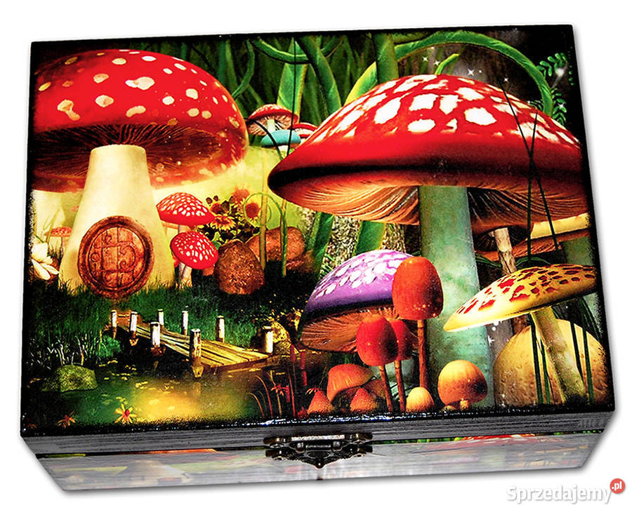 Drewniana SZKATUŁKA pudełko ozdobne MUCHOMORKI kujawsko-pomorskie Bydgoszcz sprzedam