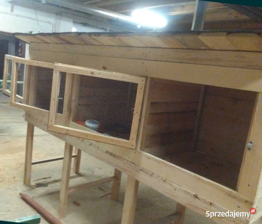 Króliki królik samiec samica klatka transporter Gryzonie Leśna Podlaska sprzedam