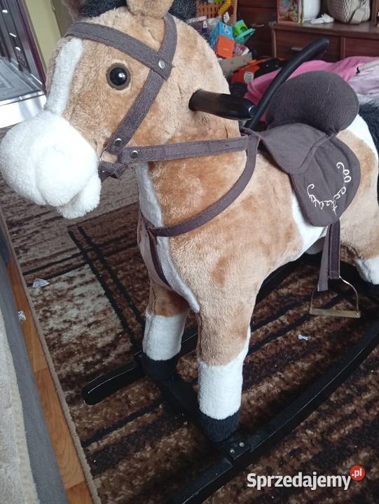 Konik na biegunach podkarpackie sprzedam