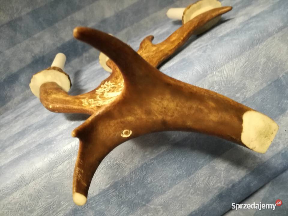Świecznik wykonany z poroża Stargard