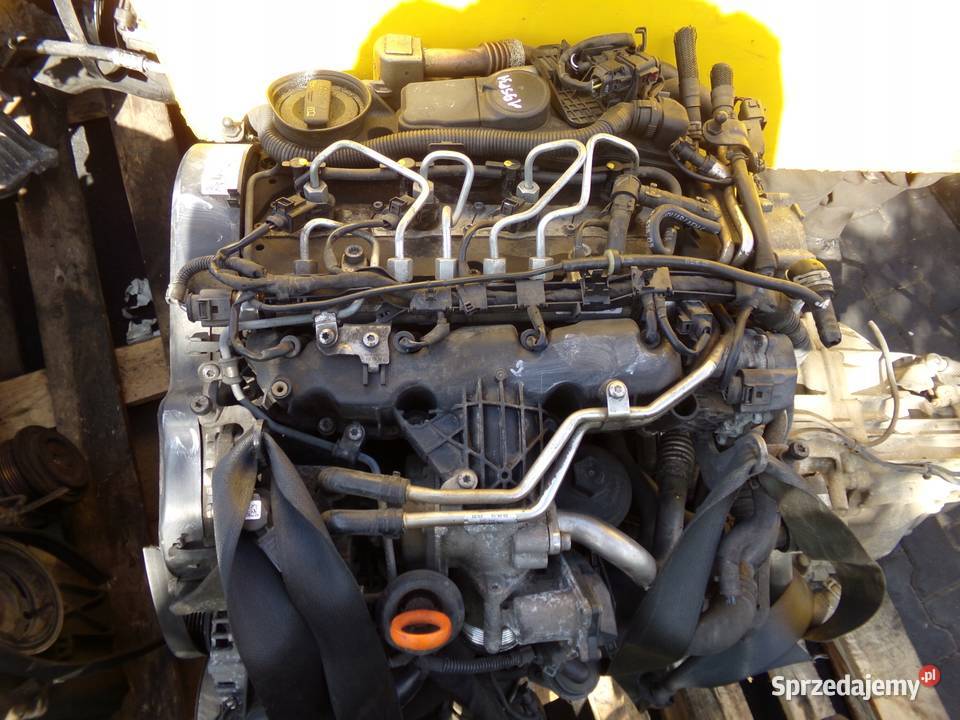 AUDI A6 A4 A5 Q5 EXEO 20 TDI 11r 170 CAH osobowe Suków