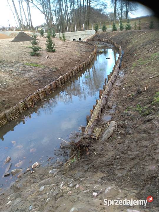 Faszynowanie stawów Grębków